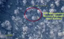 Mardin’de 1’i yeşil, 1’i gri kategoride olmak üzere 3 terörist öldürüldü